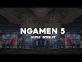 Lagu DJ NGAMEN 5 | KOPLO SPEED UP ( DJ REVERB ENAKEUN  ) 🔥👉😝👈