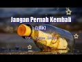 Lagu Jangan Pernah Kembali (Lirik) _Puspa Indah @pratista music