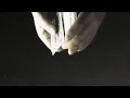 Darren Hayes - Words (Visualiser)