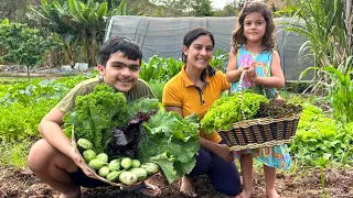 Primeira horta das crianças com receita especial da Gegê Lifestyle, especial dia das crianças