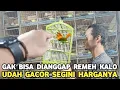 Download Lagu GAK BISA DI ANGGAP REMEH OMBYOKAN 25 RIBUAN KALO GACOR JADI SPEK SULTAN DI PASAR BURUNG PRAMUKA 