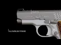 KIMBER MICRO RAPTOR STAINLESS NS