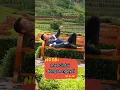 Download Lagu damai nya lagu ini... Mencintai dengan ngeyel, mengiringi akhir 2021 - lirik lagu
