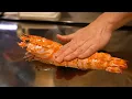 66 Teppanyaki Full Course Lunch in Kyoto