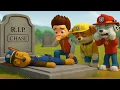 Download Lagu CHASE ¿Por qué nos dejas? ¡Por favor despierta! -  PAw Patrol en Español | Rainbow 3