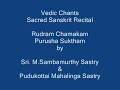 Download Lagu Rudram Chamakam