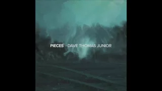 Download Dave Thomas Junior - Silence MP3