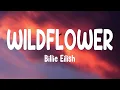 Billie Eilish - WILDFLOWER (Lyrics)