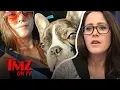 Jenelle Evans My Husband Shot and Killed Our Dog TMZ TV