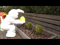 Download Lagu Easter Egg Hunt. Easter Traditions. ESL/ESOL Video A1-A2 | English Portal