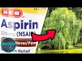 Download Lagu Top 10 Drugs That Exist in Nature