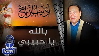 اديب الدايخ بالله يا حبيبي فيديو 