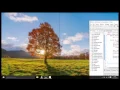 IF For Dan Array Java Program 2 Studi Kasus