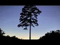 "Lonely Feels So Right" -Parker McCollum & Eagle Eye Williamson 08-05-18