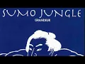Lagu SOICHI TERADA - SUMO JUNGLE GRANDEUR (1996)