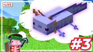 Axolotl Looking for an "Blue Axolotl" 🔴LIVE! #3