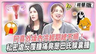 阿喜外燥內冷經期總不順!私密處反覆腫痛竟是巴氏腺囊腫!陳艾熙經痛難耐止痛藥當糖吞!上熱下寒皮蛇痘痘接連找上門!【#女人我最大 精華版】20261027