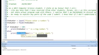 Python Type Casting and Concatenation