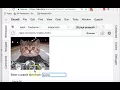GIPHY API App Finale