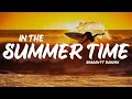 Download Lagu Shaggy Ft Rayvon - In The Summertime (Lyrics)