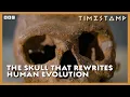 Download Lagu The 300,000-Year-Old Fossil That Completely Rewrites Human History | Human | BBC Timestamp