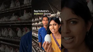 We Went Inside India's Egg City, with Hidden Camera