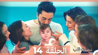 نبضات قلب الحلقة 14 الإصدار المطول 