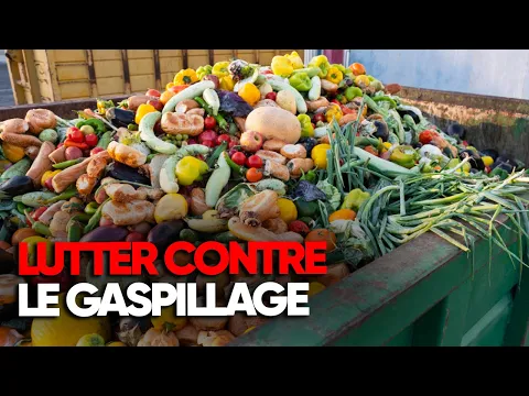 Download MP3 Aliments, rien ne se jette tout se transforme ! - Documentaire complet - AMP