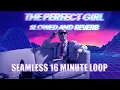 Download Lagu Mareux - The Perfect Girl (Retrowave/Synthwave cover) Slowed Reverb - SEAMLESS 16 MINUTE LOOP