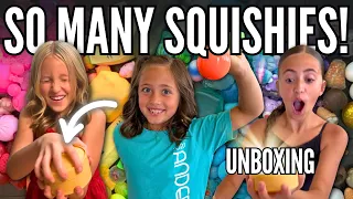 We Went Squishy Hunting AGAIN! Did We Find Anything Good? + HUGE Haul | Life As We Gomez