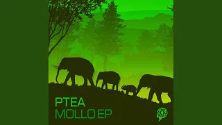 mollo original mix 