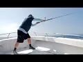 Maximize your cast with TERN2