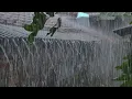 Lagu Hujan Sangat Deras Dan Suara Guntur Membuat Suasana Menjadi Sepi | Relaksasi Suara Hujan Deras