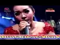 Album full palapa 2017