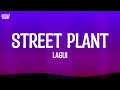Lagui - Street Plant (Lyrics)