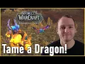 HOW TO TAME DRAGONKIN IN WOW DRAGONFLIGHT - Quick Guide