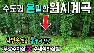 제천 덕동계곡 정글 계곡 무료주차장, 수세식화장실, 모정, 테이블까지 무료, 수도권 인근 해발1087m, 이렇게 은밀한 원시계곡 처음봐요. 제천 덕동계곡 썸네일