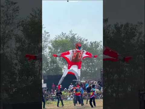 The unique style of kite in the fair #shortsvideo