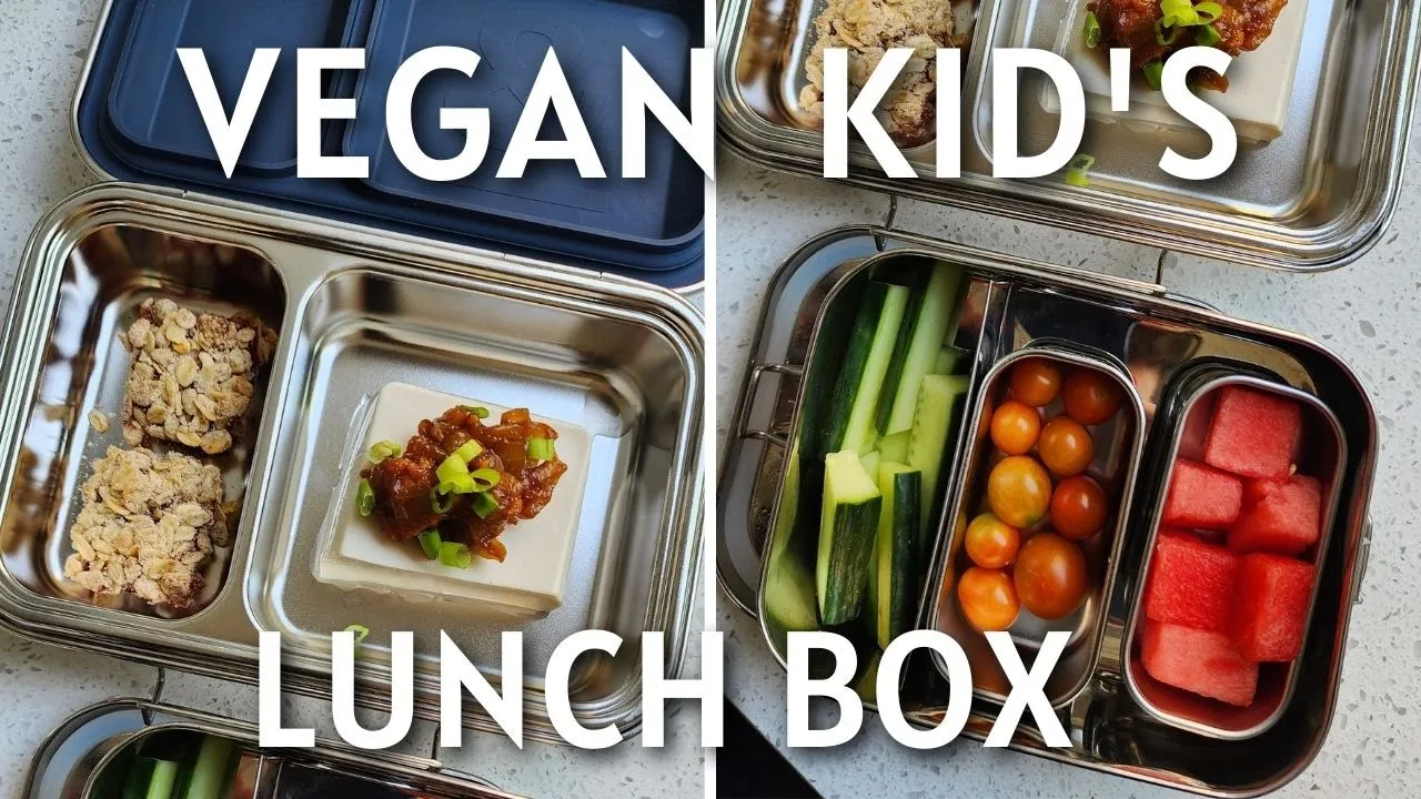 Vegan Kids Lunch Box Ideas   School Friendly