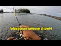 Download Lagu Mancing di muara terbaru | Air pasang ikan nya ganas | Ultralight fishing | Indonesia fishing vid