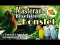 Download Lagu MASTERAN BURUNG LOVEBIRD KONSLET NGEKEK DENGAN TERAPI GEMERCIK SUARA AIR