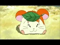 Download Lagu Hamtaro: piccoli criceti, grandi avventure - Sigla completa
