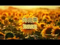 Himawari/Sunflower/向日葵-Ado 歌詞日本語、英語、ポルトガル語