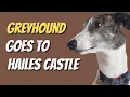 Greyhound - Magnus goes to Hailes Castle