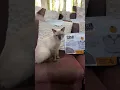 https://vt.tiktok.com/ZSBTnCqny/