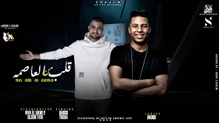 من قلب العاصمه   يوسف تريكه و بادچو                                   دندنها