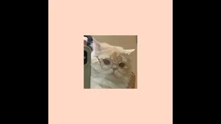 Speed Up الطلقة الروسية Speed Up 