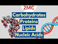 Macromolecules Explained 2MC GIGAVID