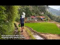 Lagu Buka Pintu Langsung Melihat Sawah 😍 Hidup Mahal Bayar Murah Di Kampung Indah Di Lereng Gunung. 