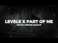 LEVELS X PART OF ME (Avicii, Katy Perry) [Mattia Cipriani Mashup]